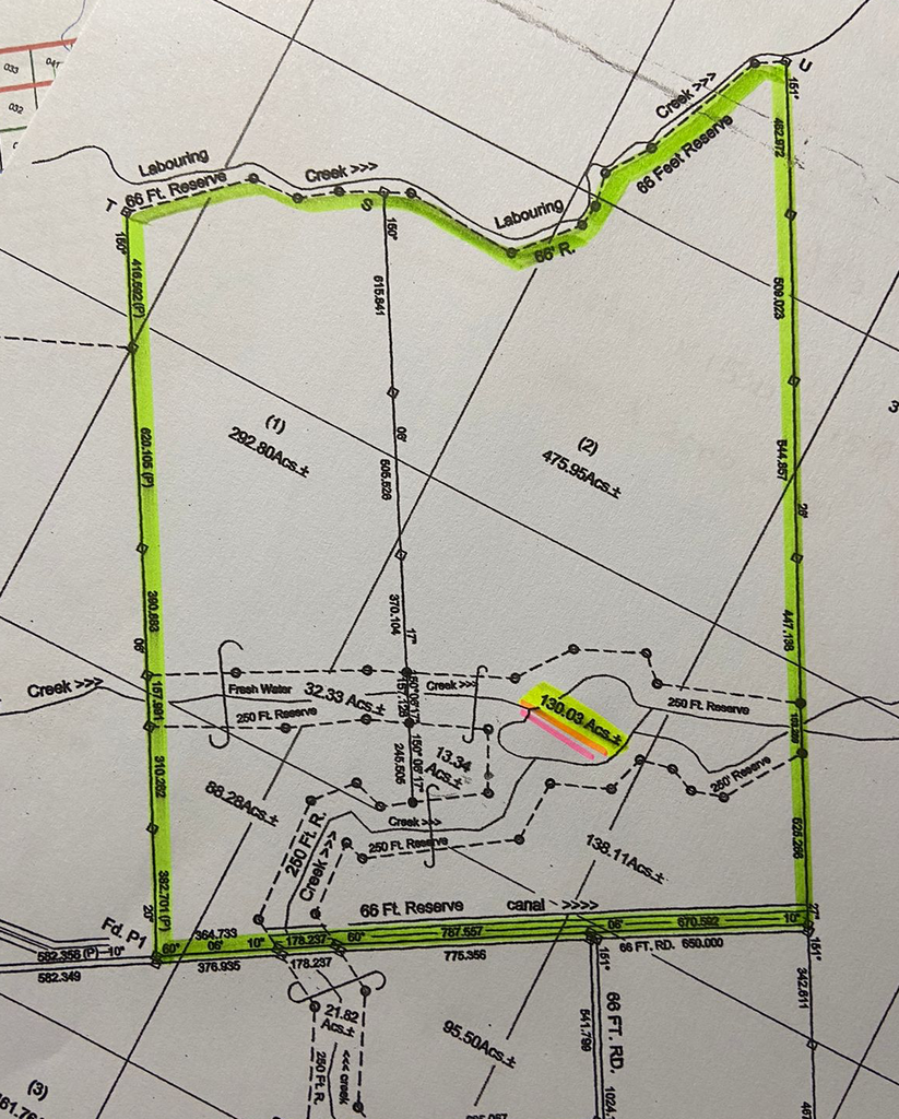 1210 acres of land in the Meditation  Registration Section, Cayo District