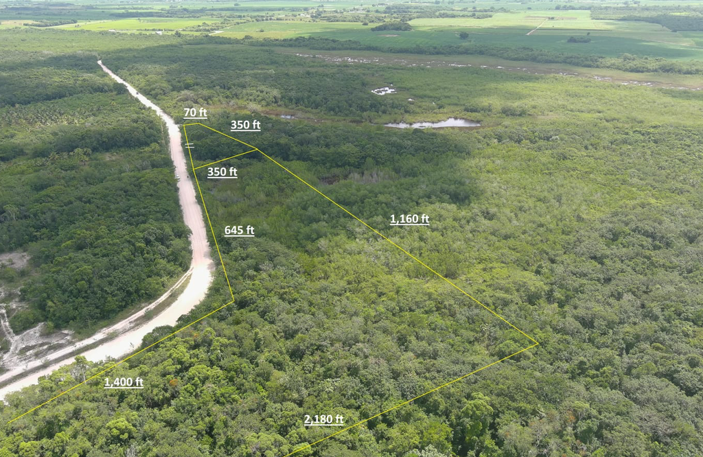 33.527 acres of land in Progresso  Registration Section, Corozal District