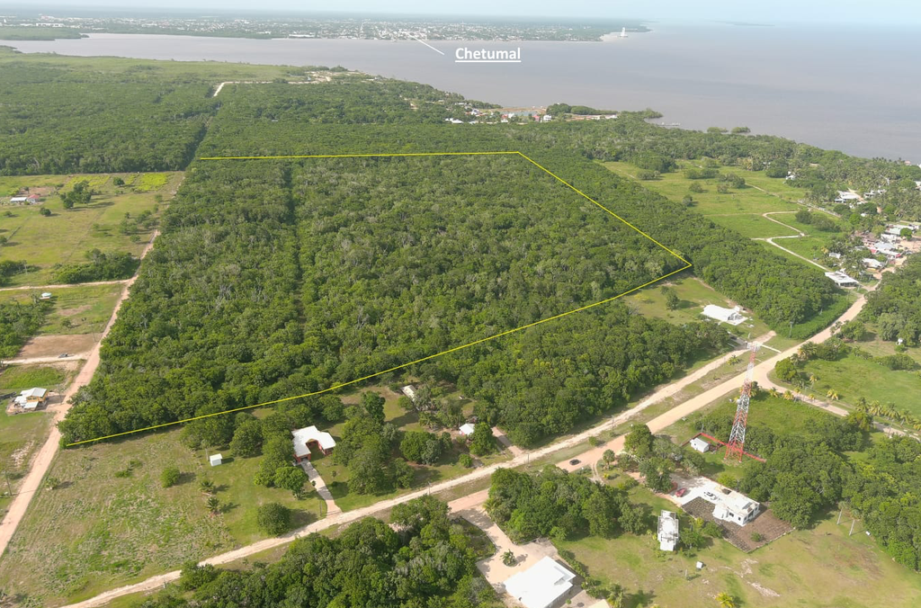 48.69 acres of land situated in the Consejo Registration  Section, Corozal District