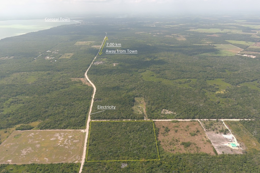 20 acres of land situated on the Consejo Road S.E. Registration Section, Corozal District