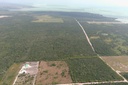 20 acres of land situated on the Consejo Road S.E. Registration Section, Corozal District