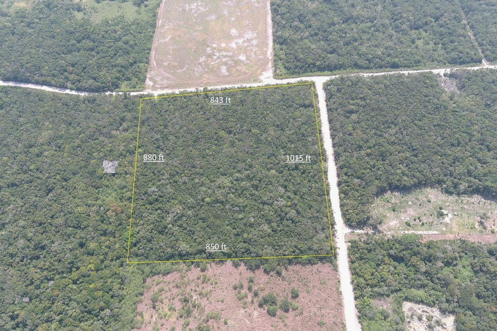 20 acres of land situated on the Consejo Road S.E. Registration Section, Corozal District