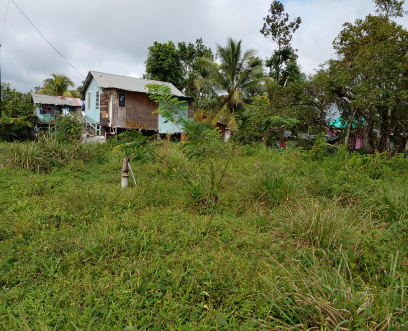 1666.67 Sq. Yards situated in the Cotton Tree Village, Cayo District