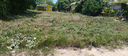 Lot situated in the Consejo Road SE Registration Section Corozal District