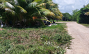 Lot situated in the Consejo Road SE Registration Section Corozal District