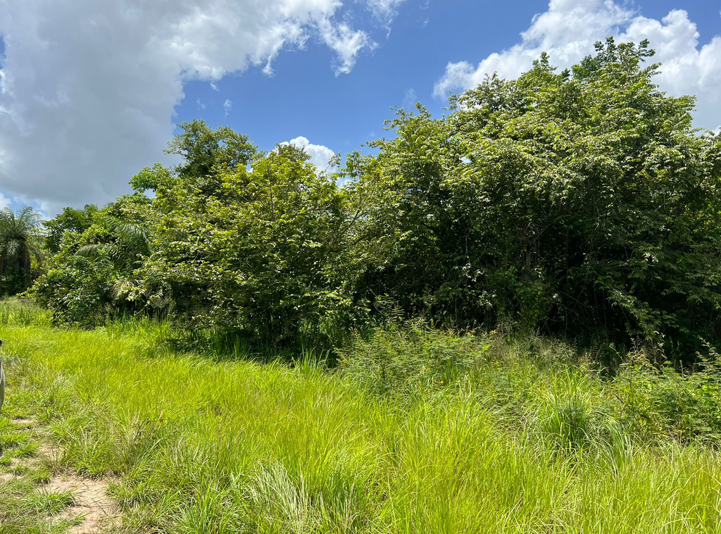 645 .734 Square Meters Lot in the Mount Pleasant Registration Section, Cayo District