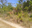 1.830 Acres of Land situated in the Hattieville Village, Belize District