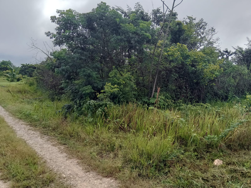 692.189 square meters of land being Parcel No. 10080 situated in the Belmopan Registration Section