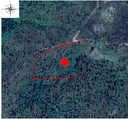 6.45 acres of land being situated South of Little Vaqueros Creek, Mountain Pine Ridge Area, Cayo District