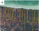 2.091 acres of land being situated on the Sarteneja Registration Section, Corozal District