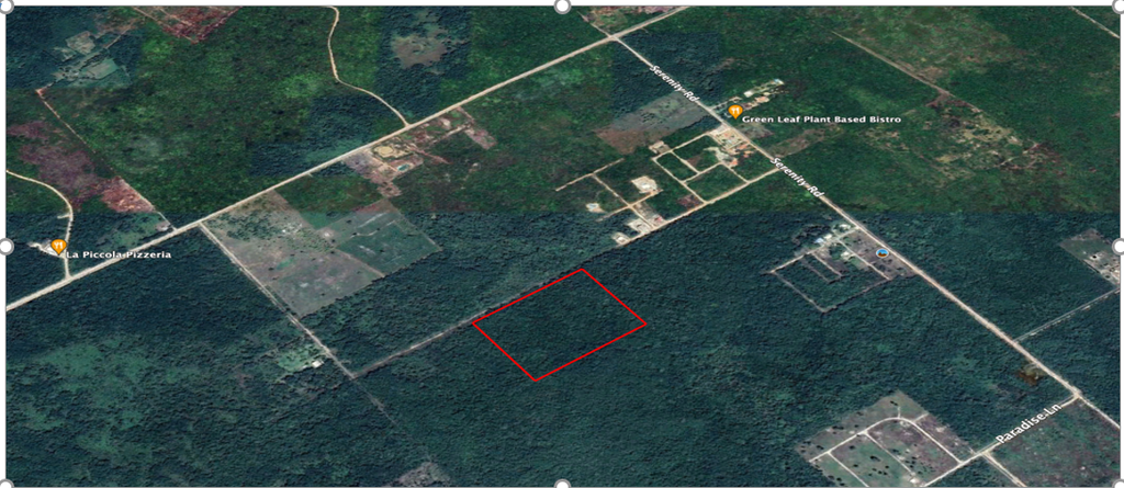 20 acres of land being in the  Consejo Road S.E. Registration Section,  Corozal District