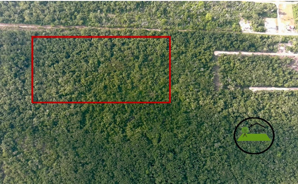 20 acres of land being in the  Consejo Road S.E. Registration Section,  Corozal District