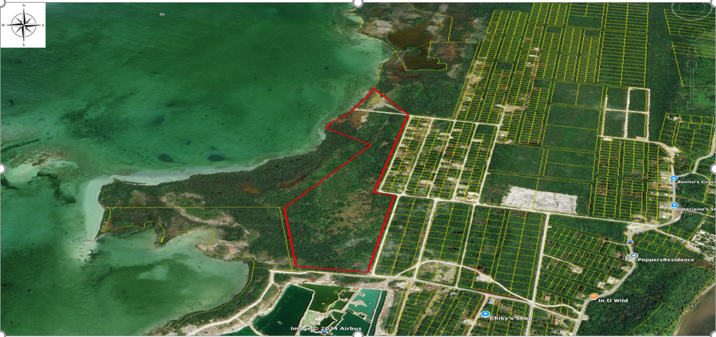 40.33 acres  of land being situated   in the  San Pedro Registration Section,  Belize  District