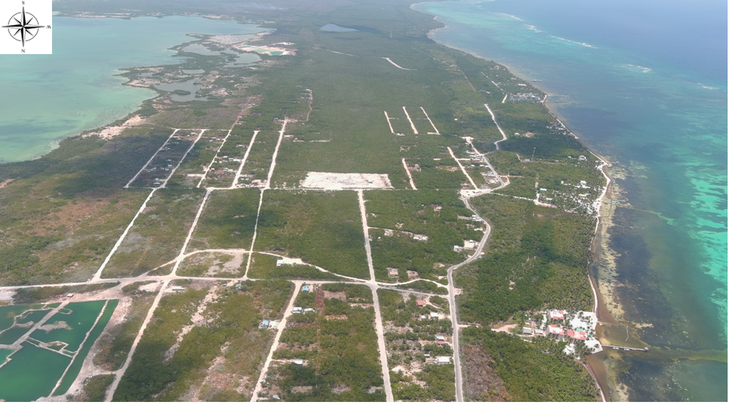 40.33 acres  of land being situated   in the  San Pedro Registration Section,  Belize  District