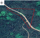 8.08 acres   of land along the San Miguel Road, Mountain Pine Ridge Area, Cayo District