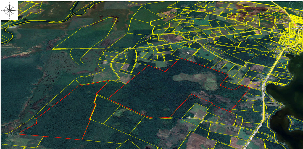 496 acres of land and 200 acres of land in the Progresso Registration Section, Corozal District