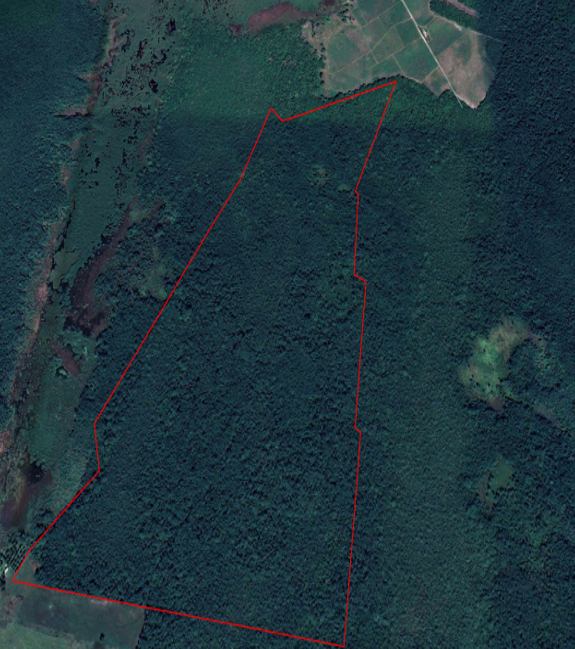 496 acres of land and 200 acres of land in the Progresso Registration Section, Corozal District