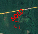 18.21 acres of land situated in the La Democracia  Agricultural Layout, Belize District.