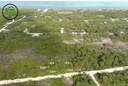 Lot situated in the San Pedro Registration Section Belize District