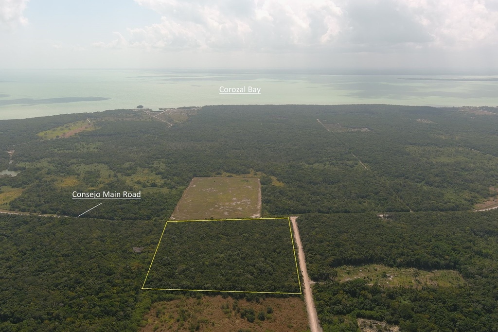 20 acres of land situated on the Consejo Road S.E. Registration Section, Corozal District