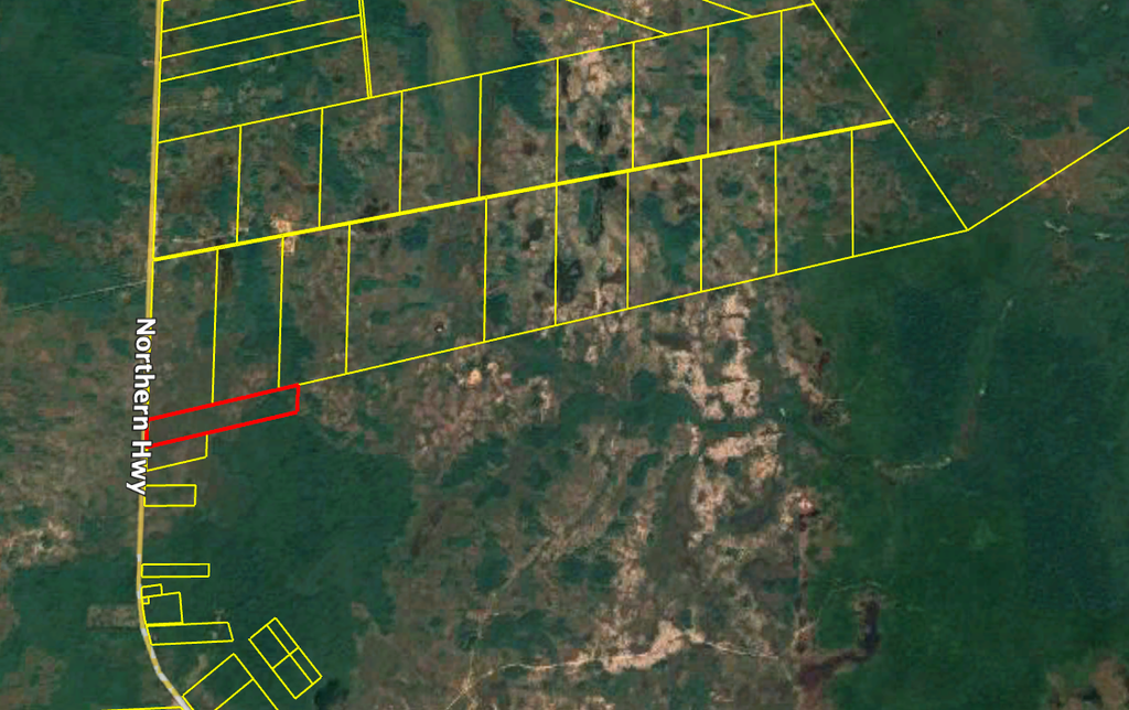 100.167 acres of land in the Belize Rural North II Registration Section, Belize District