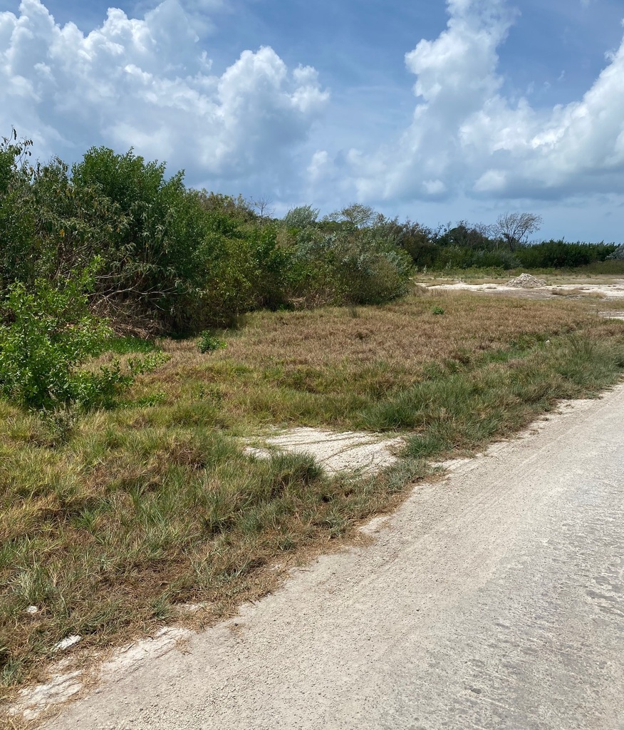 603.243 Sq. Meters of Land situated in the San Pedro Registration Section Belize District