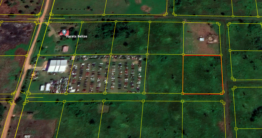 1.01 acres  of land situate south of the George Price Highway, Harmonyville Area, Cayo District