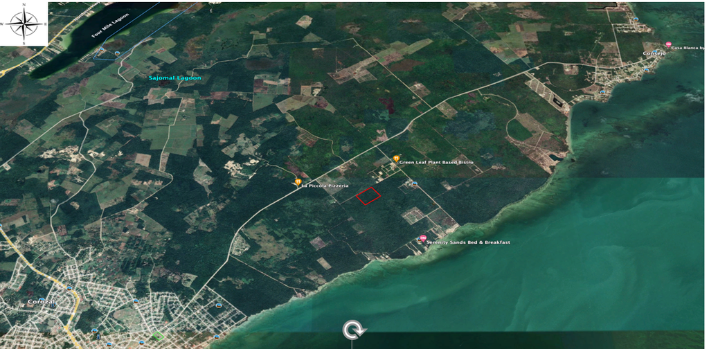 20 acres of land being in the  Consejo Road S.E. Registration Section,  Corozal District