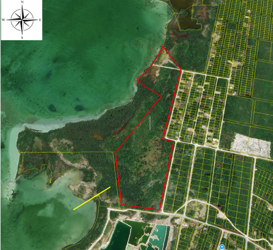 40.33 acres  of land being situated   in the  San Pedro Registration Section,  Belize  District