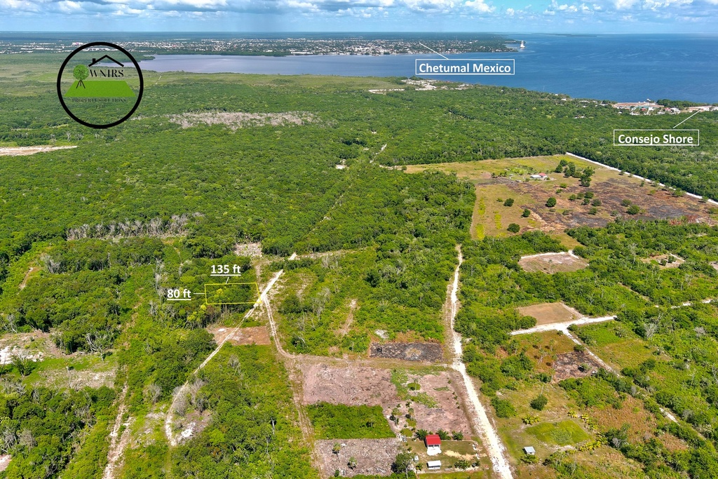 1011.205 square meters of land situated in the Consejo  Registration Section, Corozal District