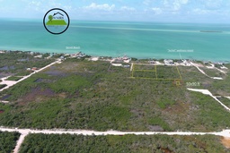 418.06 sq meters of Land in SAN PEDRO