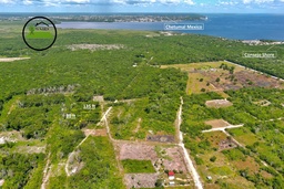 1011.205 square meters of land situated in the Consejo  Registration Section, Corozal District