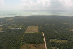 20 acres of land situated on the Consejo Road S.E. Registration Section, Corozal District