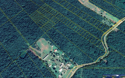 1.46 acres BELIZE RURAL NORTH Registration Section, BELIZE District, between Lucky Strike &amp; Santa Ana