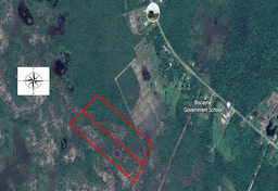 25.84 acres of land situated south of the Phillip Goldson Highway, near mile 26 ½, Biscayne Village, Belize District